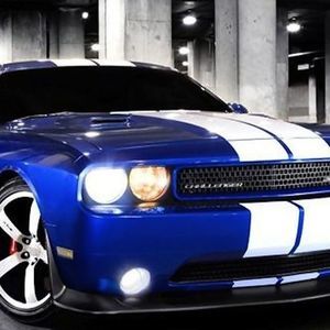 Meet your Posher, Ernesto